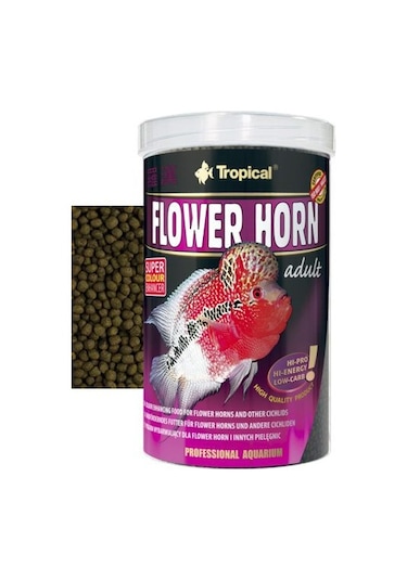 Tropical Flower Horn Adult 6Mm 50 G Açık