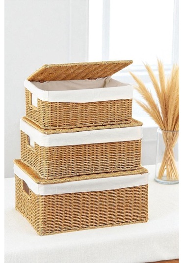 Digithome 3 Lü Kapaklı Hasır Organizer Sepet- 1376 Kahverengi