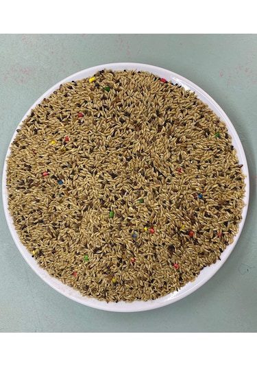 500 Gr Karışık Kanarya Kuşu Yemi Vitaminli 1.kalite
