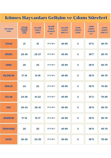 60 Yumurta Kapasiteli Tam Otomatik Kuluçka Makinesi - Civciv, Kaz, Hindi Ve Ördek Yetiştiriciliği Epo-w60