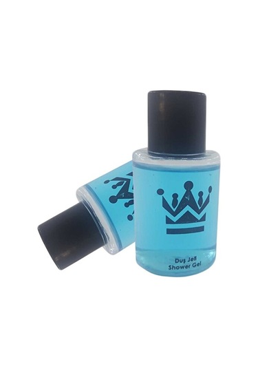 Private Label Duş Jeli 500 x  30 ML
