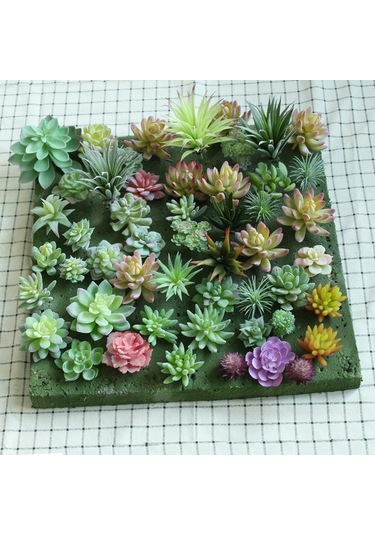 Xiyyadms Dıy Yapılandırılabilir Simülasyon Sukulent Bitki Seti - Bakım Gerektirmeyen Ev Dekorasyonu Duvar Yeşilliği