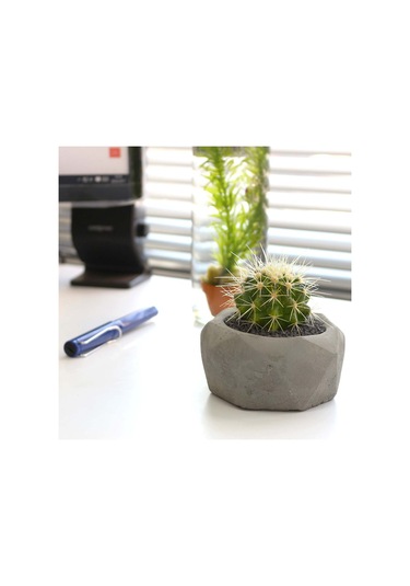 Elmas Beton Saksı 05 Gri