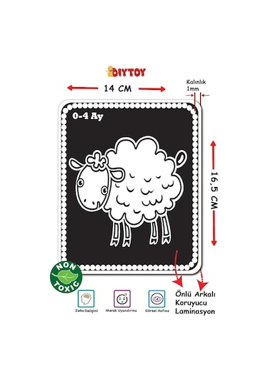 Diytoy Bebeğimin İlk Zeka Kartları Flash Cards Eğitici Kartlar