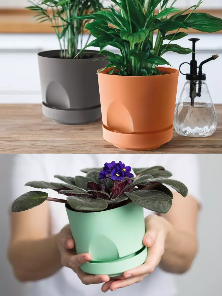 La Decoro Sukulentler İçin Saksı, Menekşe Saksıları, Kaktüs Saksısı. 233787581