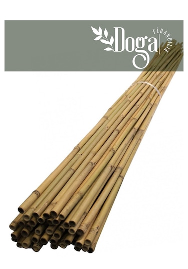 30 Adet Bambu Bitki Fidan Destek Çubuğu 1,5 Metre