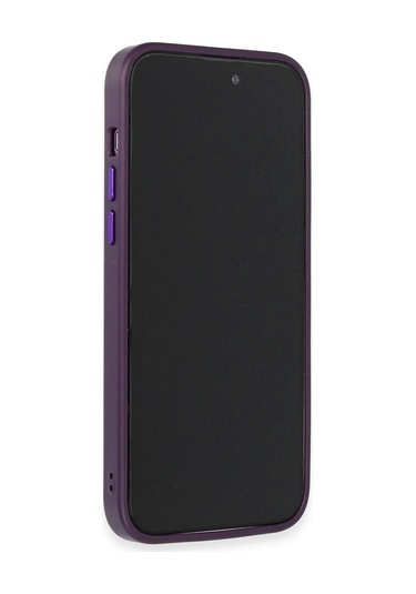 İphone 14 Pro Kılıf Hbc-160 Almera Taşlı Kapak - Derin Mor