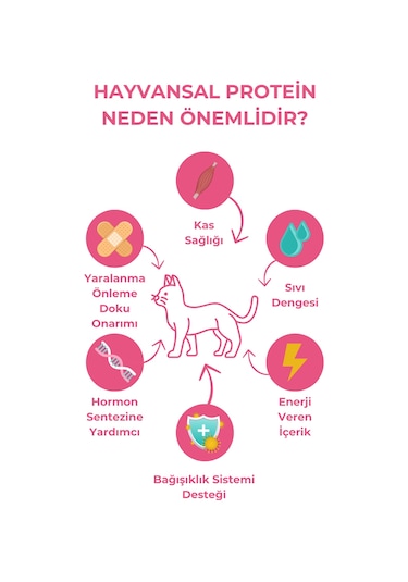 Herbamax Kitten Tavuklu ve Pirinçli Yavru Kedi Maması 10 KG