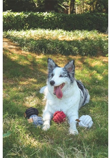 M-pets Coto Red Ball Örgü Top Köpek Oyuncağı 9,5 Cm 244-50007.01