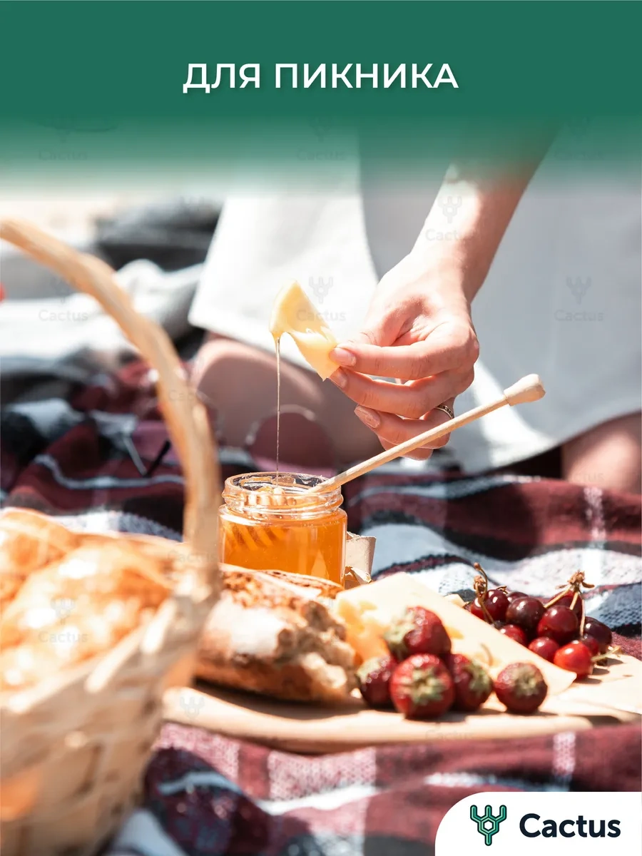 Cactus Tek Kullanımlık Tabaklar Parti Seti 50 Parçalı 287720180 Siyah