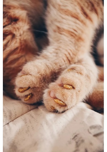 E.lekar' Kedi Tırmık Kesici Tırnak Koruyucuları, Tırnak Koruyucuları 40 Adet S 164364918