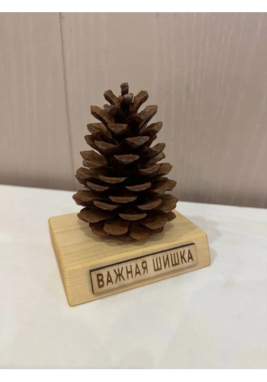 Önemli Kozalak Harika Bir Hediye 434827979