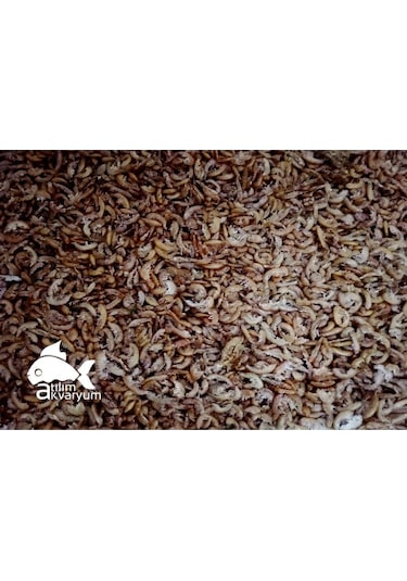 Kurutulmuş Karides Gammarus Balık Yemi Premium Kalite 250ml
