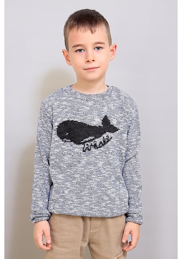 Alexandergardı Çocuk Desenli Triko Kazak C19-ag50384 001