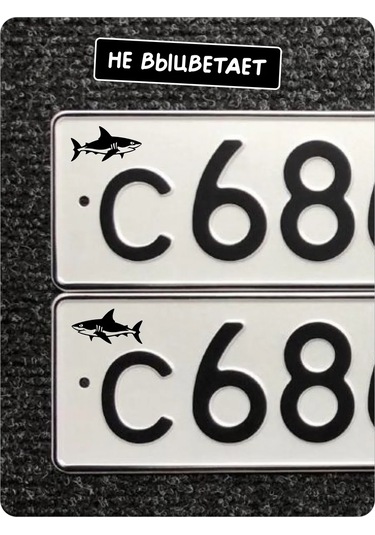 Stadi Devlet Plakası Etiketi Köpekbalığı 226337828