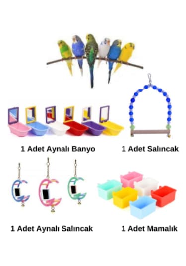 Purecanpati Fit Fly Kuş Aksesuar Oyuncak Set