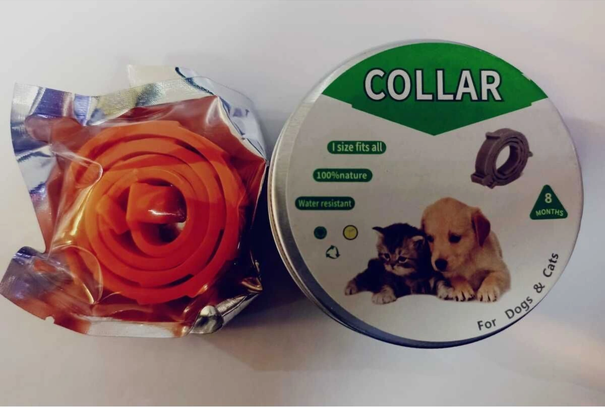 Pire Tasması ,kedi Köpek Siyah 100% Naturel 1697