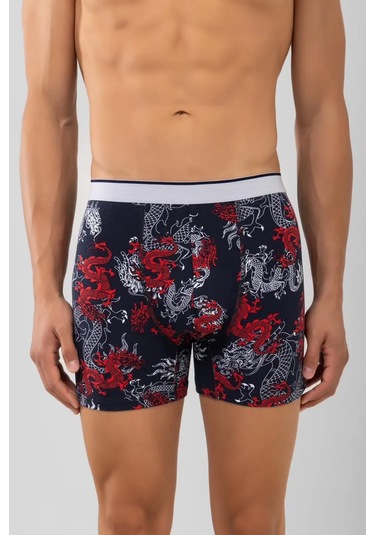 Baykar Erkek Boxörler Hediye 306169539 Mavi