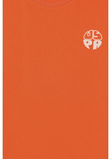 U.s. Polo Assn. Erkek Çocuk Tarçın Tişört Basic 50295503-vr191 Tarcın Tarçın U.s. Polo Assn. Erkek Çocuk Tarçın Tişört Basic 50295503-vr191 Tarcın Tarçın