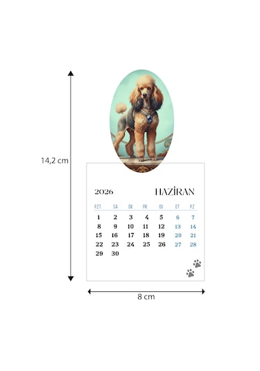2026 Köpek Takvimi Ahşap Ayaklı Köpek Temalı Özel Tasarım Takvim