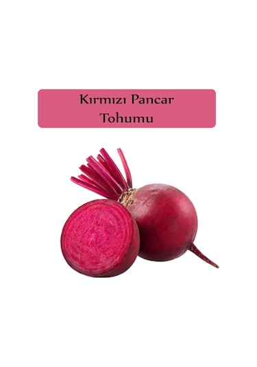Kırmızı Pancar Tohumu 10GR
