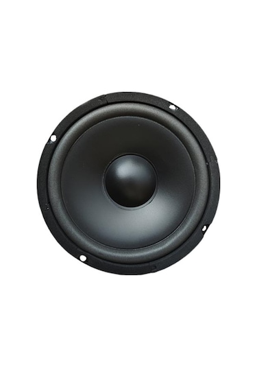 16 Cm Çıplak Hoparlör 6.5" - Pw-16.2