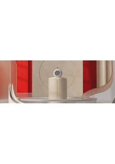 Devialet Mania Opera Wireless Hoparlör