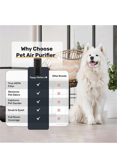 Xiaaokeji Pet Home Hava Temizleyici Koku Filtresi Kokuları Giderir