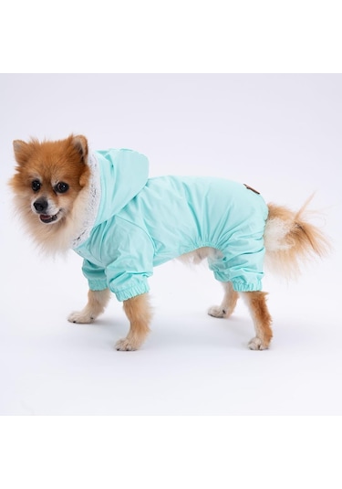 Pettrend Mint Kürklü Tulum Küçük Irk Köpek Yağmurluğu