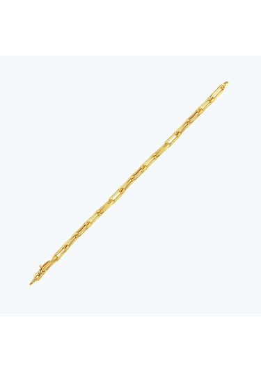 Altınbaş 22 Ayar Altın Zincir Bileklik Bbl0058-25941 Çok Renkli