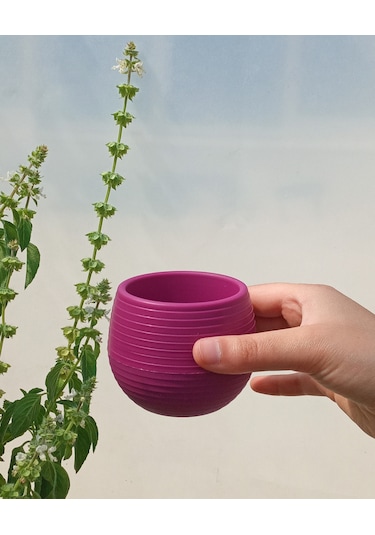 Kaktüs & Sukulent Saksısı 0,55 lt 4 Adet Vişne Renk Elvan Saksı