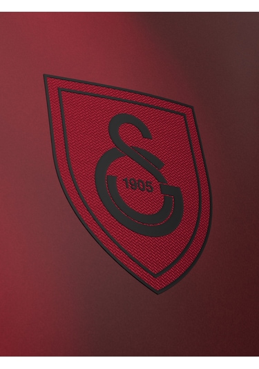 Galatasaray Çocuk Batshuayi Design Fc T-shirt C241310 Bordo