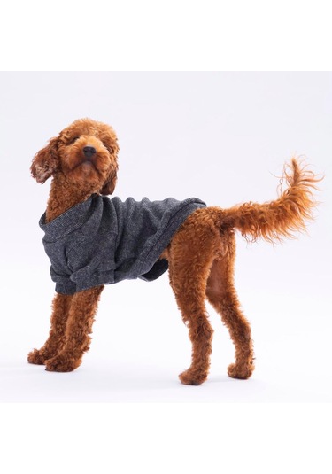 Pawstar Siyah Merino Esnek, Küçük Irk Triko Köpek Kazağı