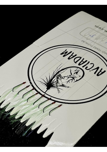 İstavrit Çapari Acık Yeşil Kıyı