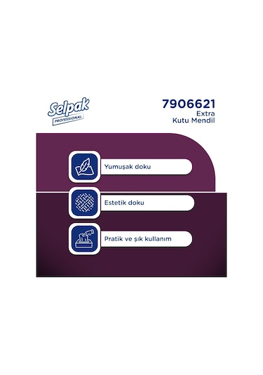 Selpak Professional Extra Kutu Mendil 21 X 18 Cm 80 Yaprak X 24 Adet