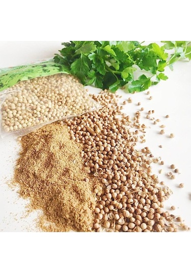 Organik Kişniş Tohumu 10 GR