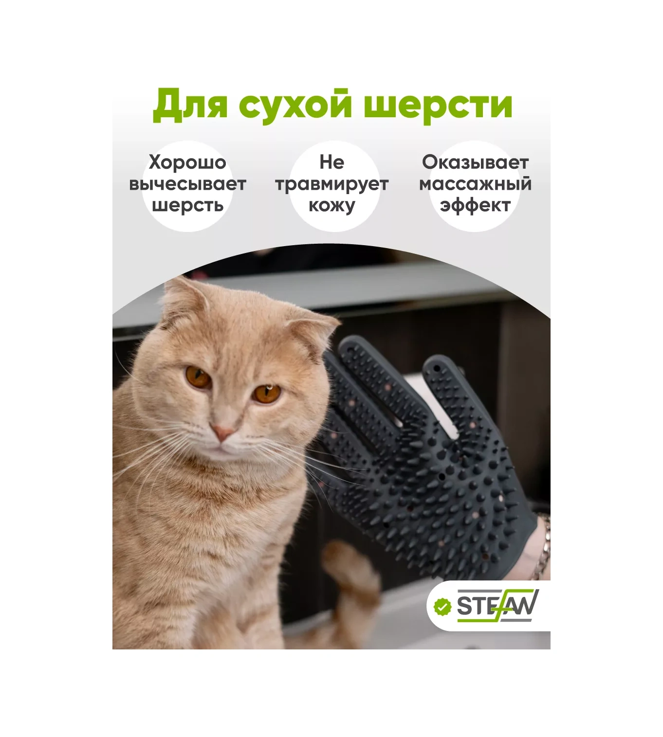 Stefan Köpekler İçin Silikon Fırçalar Ve Temizleme Eldivenleri 26585126