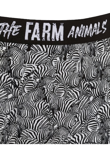 Farm Animals Zebra Desenli Boxer