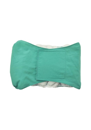 Erkek Köpek Özel Nezaket Kemeri Pet Fizyolojik Pantolon, Boyut: Xl Yeşil