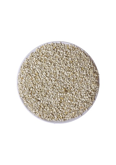 Aspir Çekirdeği 100 Gr