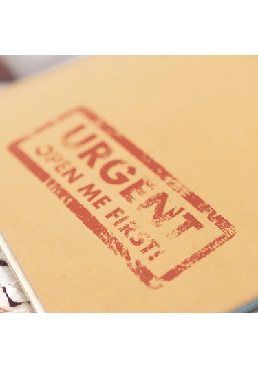 Professor Puzzle - Dedektif Oyunu - Escape From The Starline Express