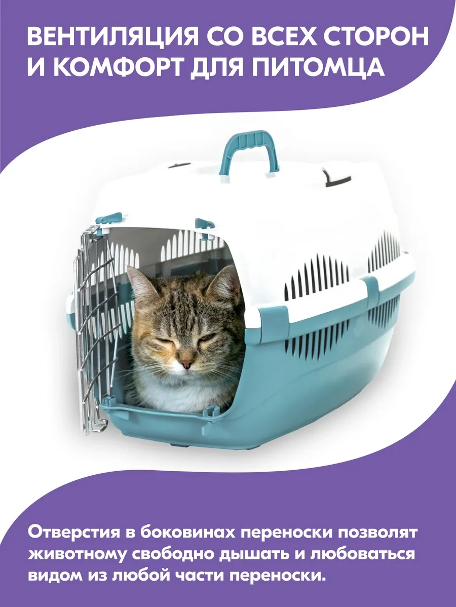 Pettails Plastik Kedi Taşıma Kabı, Evcil Hayvanlar İçin Metal Kapılı 27565275