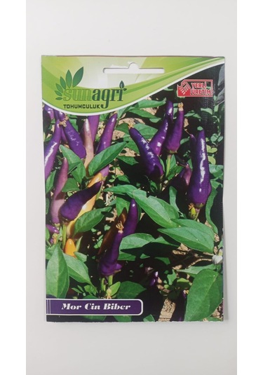 Bykurt Sunagri Mor Acı Cin Biber - Bahçe Ve Saksıda Dikime Uygun 50 Adet