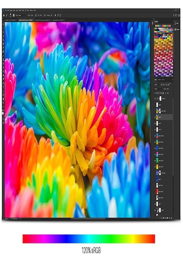 Huion Kamvas Pro 22 2019 IPS Panel FHD 21.5" LCD Grafik Tablet
