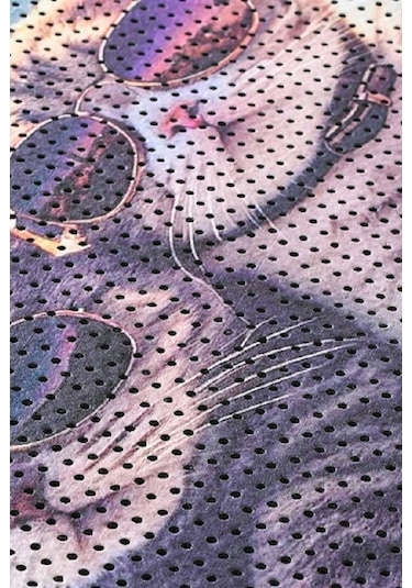 Kar Mat Kedi Tuvaleti Paspası Delikli Kedi Kumu Paspası Gözlüklü