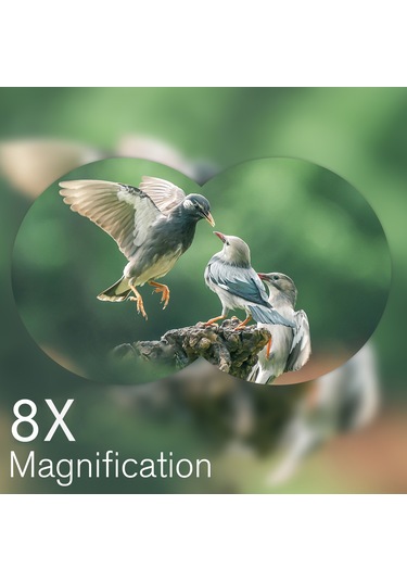 Suofeng Kompakt Katlanabilir 8x21 Mini Binokül, Hafif Ve Taşınabilir, Net Görüntü, Kuş İzleme, Seyahat, Konser İçin Yetişkin Ve Çocuklar İçin