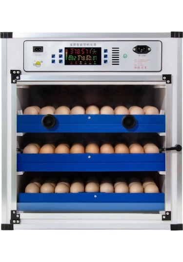 Kaz Kulucka Kabin Tip 196 Tavuk Yumurta Kapasiteli Kuluçka Makinesi