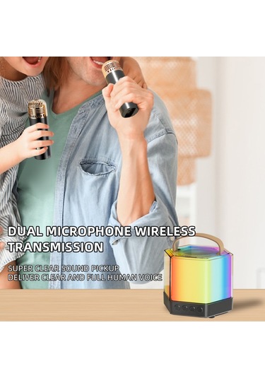 Skycıty Kablosuz Karaoke Ses Sistemi, İki Mikrofonlu