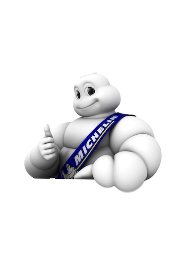 Michelin Mc12204 Basınç Göstergeli Ayak   Pompası