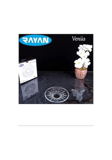 Venüs Çay Tabağı 6'lı Royaleks-81731 Renkli